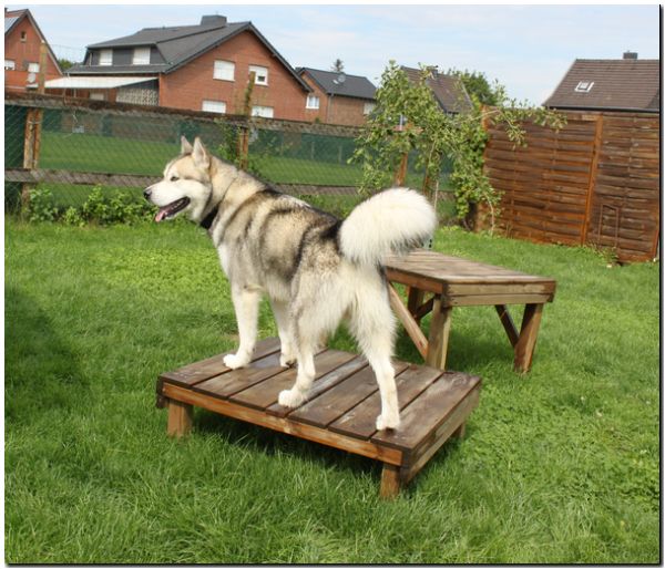 Besuch Nanooq 178.jpg